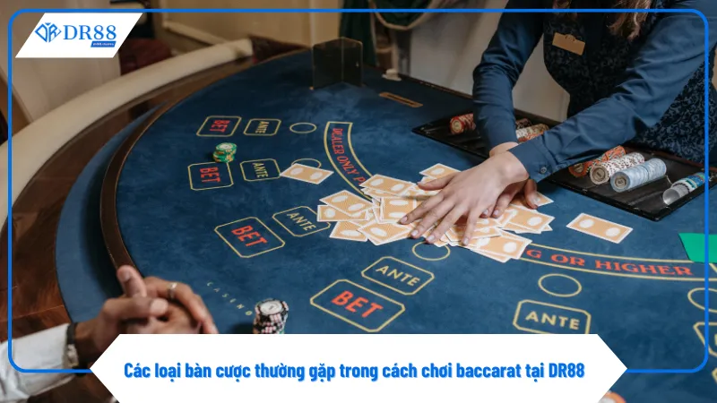 Bàn baccarat truyền thống phù hợp cho người mới tập chơi